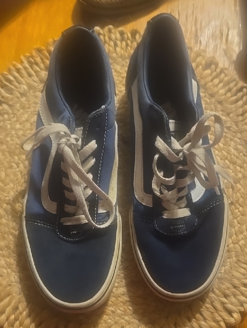 Vans Blue and White Low-Top Skate Sneakers